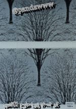 پرده زبرا مدل الگانس