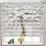 پرده دومکانیزم تصویری