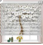 پرده دومکانیزم تصویری