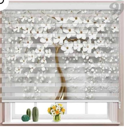 پرده دومکانیزم تصویری