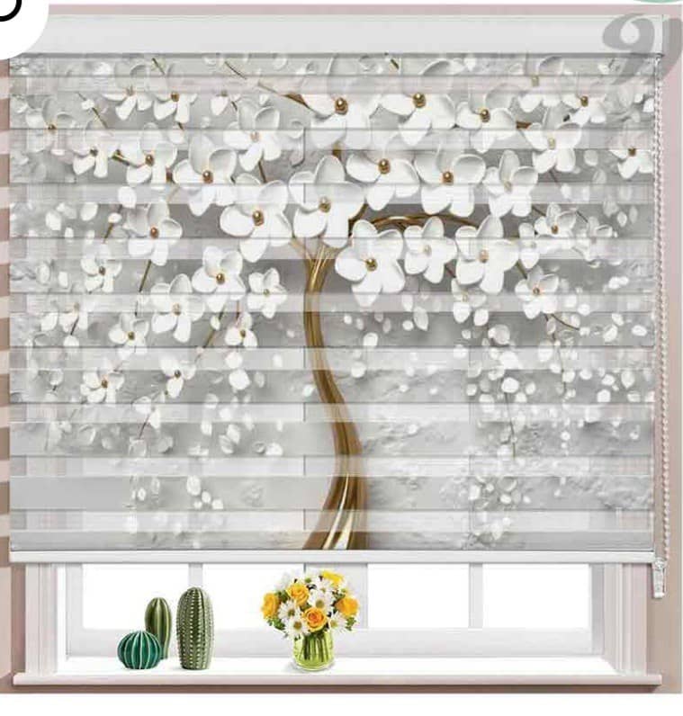 پرده دومکانیزم تصویری